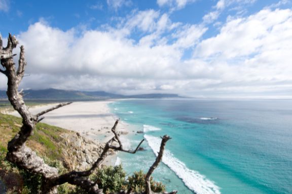 Attractions The Chalet Stay Noordhoek